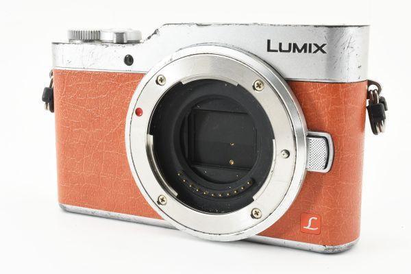 Panasonic パナソニック Lumix DC-GF9 ミラーレス一眼カメラ
