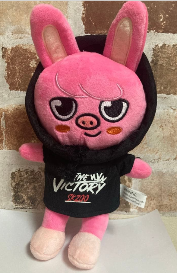 トエッキ ぬいぐるみ チャンビン DWAEKKI straykids スキズ